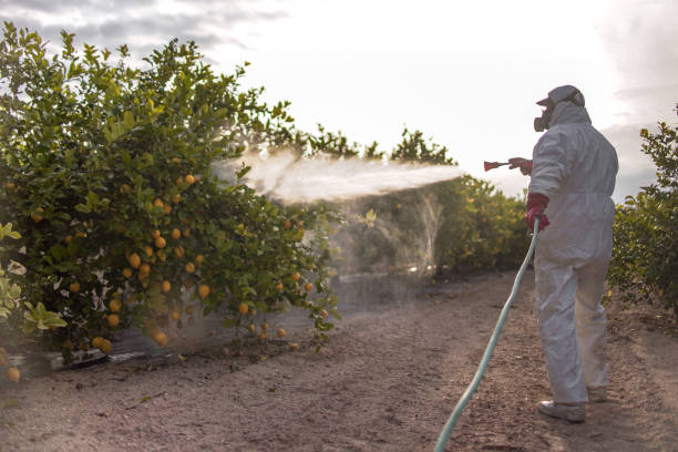 Best Local Pest Control Services  in Red Wing, MN