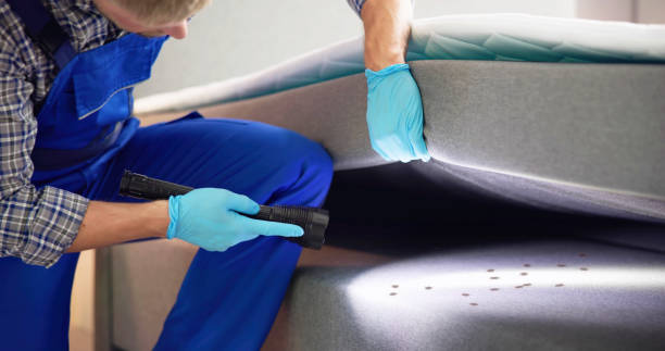 Best Pest Removal Services  in Red Wing, MN