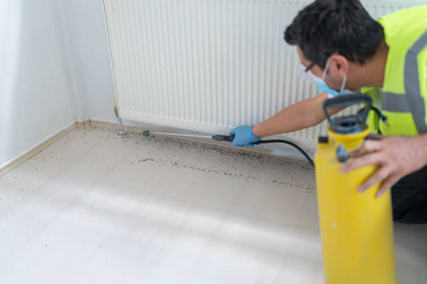 Best Pest Prevention Services  in Red Wing, MN