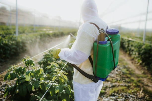 Best Local Pest Control Services  in Red Wing, MN